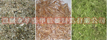 大型LUTUBE官网下载