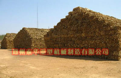 LUTUBE成人福利在线观看污